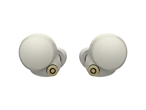 Sony WF-1000XM4 Industry Leading Noise Canceling Truly Wireless Earbud Headphones with Alexa Built-in, Silver