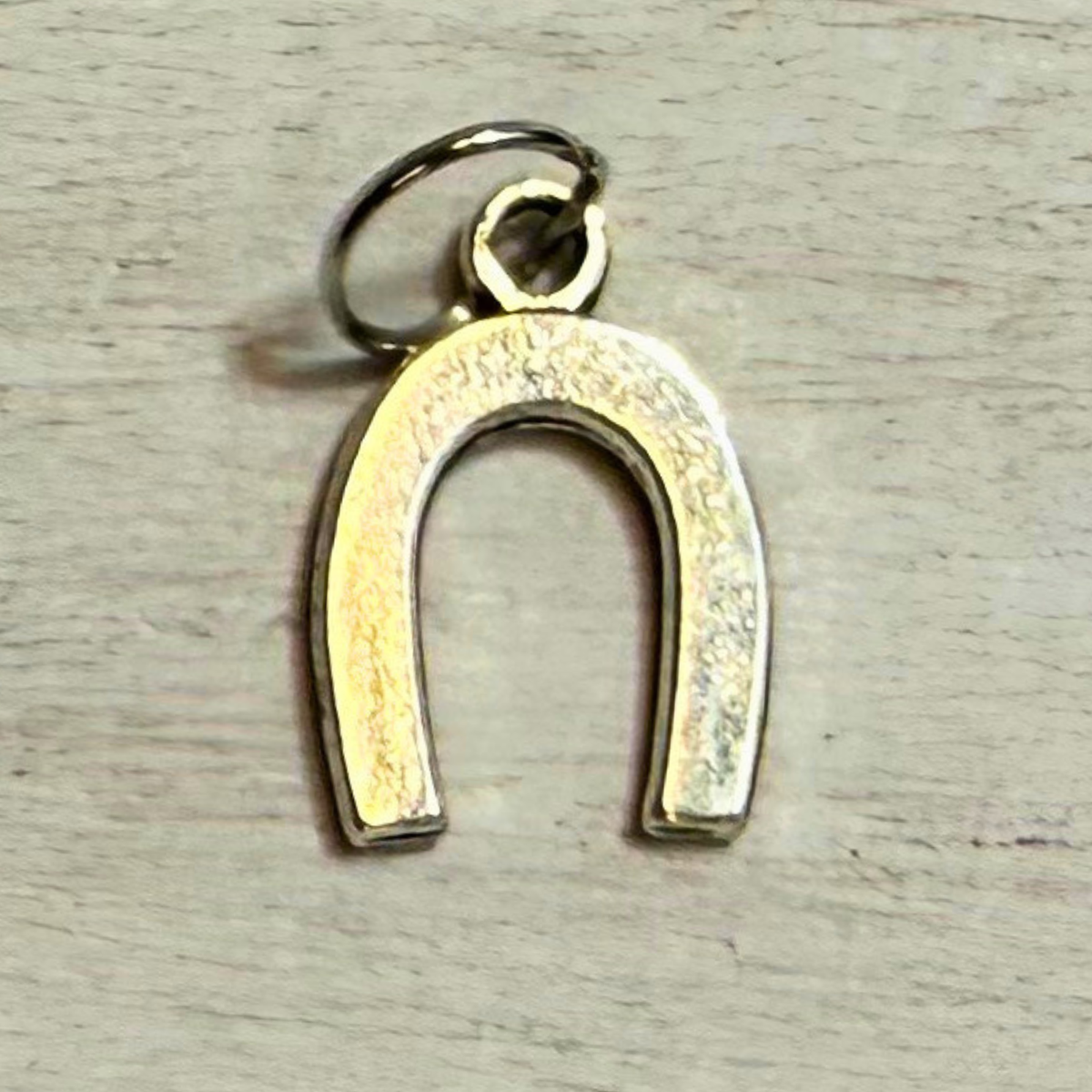 Silver Horseshoe Good Luck Charms | Western Hat Bar Add-On