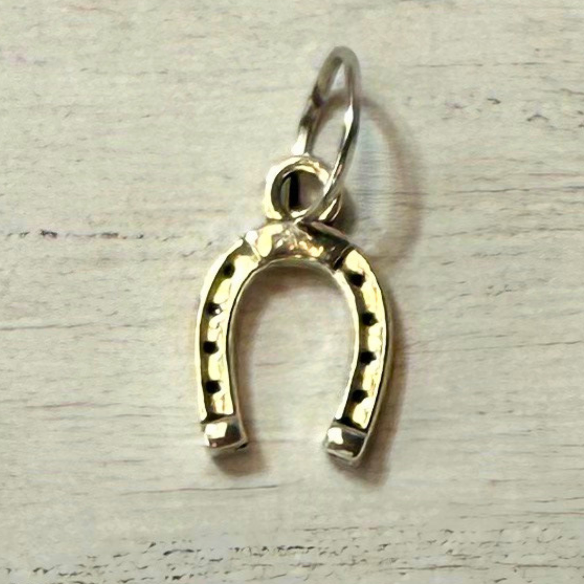 Silver Horseshoe Good Luck Charms | Western Hat Bar Add-On