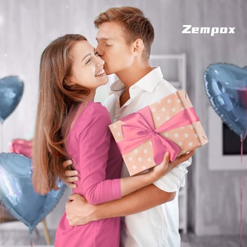 Zempox Adjustable Dumbbell Set of 2, 4 in 1 Free Weights Dumbbells Set for Women, Hand Weights for Women at Home, Each 2lb 3lb 4lb 5lb with TPU Soft Rubber Handle for Home Gym Exercise Training