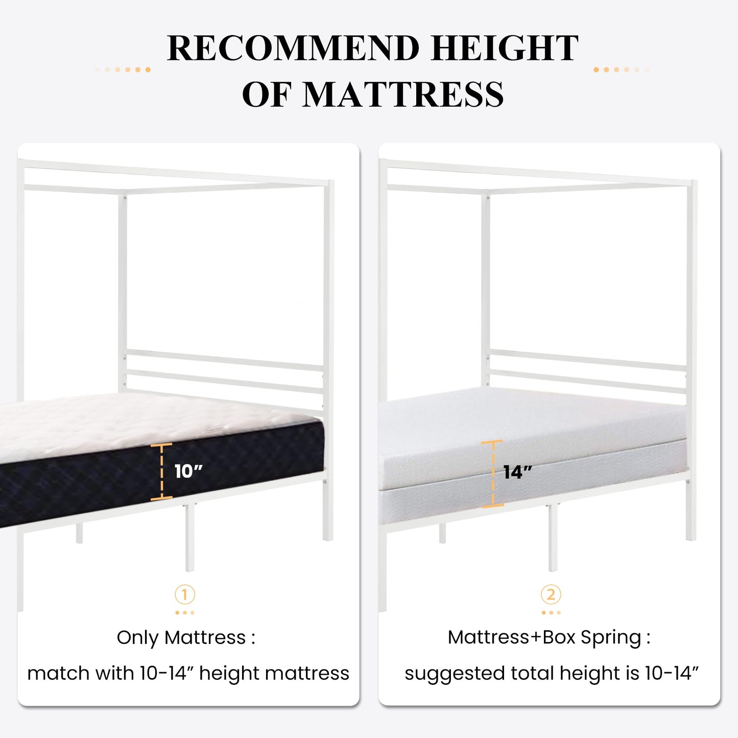 SHA CERLIN Metal Canopy Bed Frame Queen Size/Mattress Foundation with Metal Slats Support/No Box Spring Needed/Easy Assembly/White