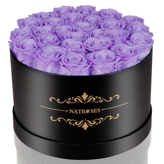 NATROSES Forever Preserved Roses in a Box, 100% Real Roses That Last Up to 3 Years, Preserved Flowers for Delivery Prime Birthday, Valentines Day Gifts for Her (Violet)