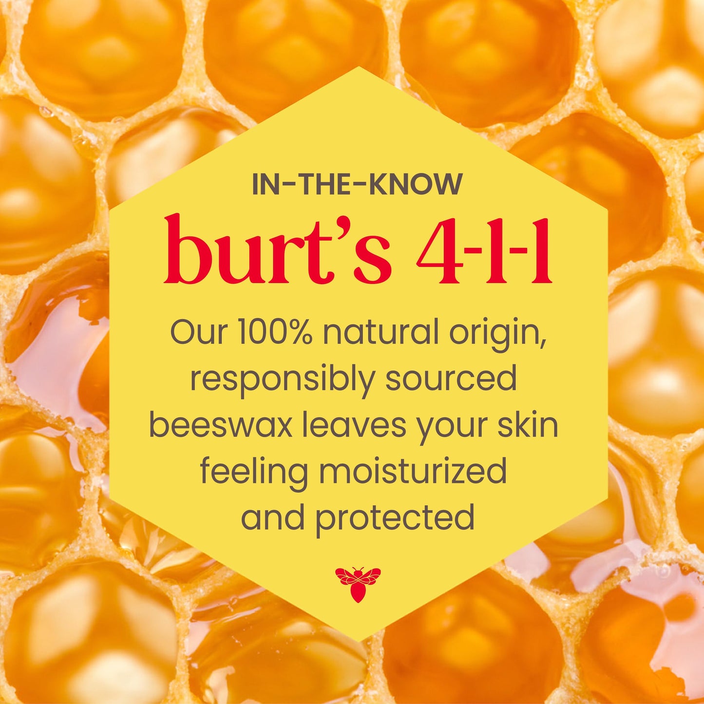 Burt's Bees Lip Tint Balm Stocking Stuffers Gifts, Long Lasting 2 in 1 Duo Tinted Balm Formula, Color Infused with Hydrating Shea Butter for a Natural Looking Buildable Finish, Petal Rose (2-Pack)
