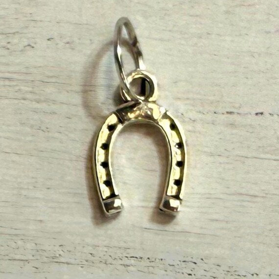 Silver western horseshoe charm style options